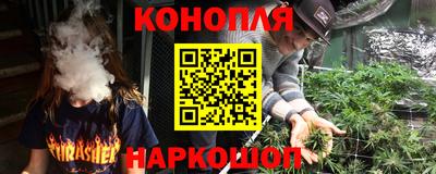 крисы Тулун