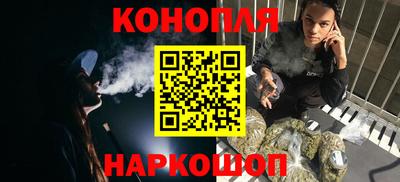 крисы Тулун